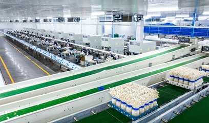 重慶食用菌產業崛起 戰略引領下的第五大農產品新篇章